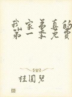 我家弟真的很棒第一季免费观看