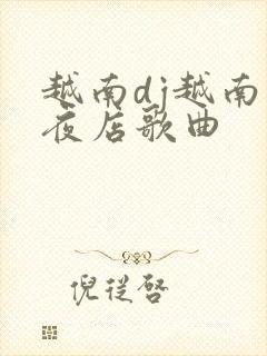 越南dj越南鼓夜店歌曲封面