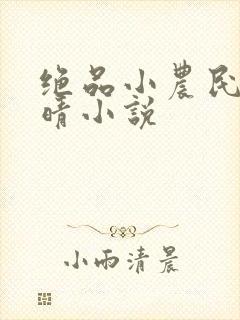 绝品小农民宋雨晴小说