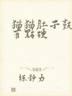 猫猫肚子鼓鼓的有点硬