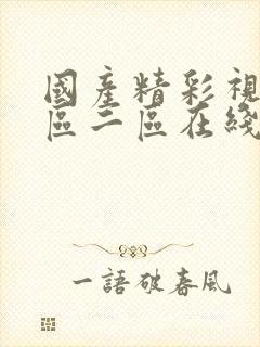 国产精彩视频一区二区在线观看