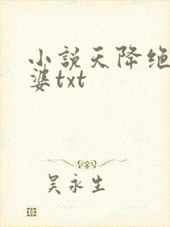 小说天降绝色老婆txt