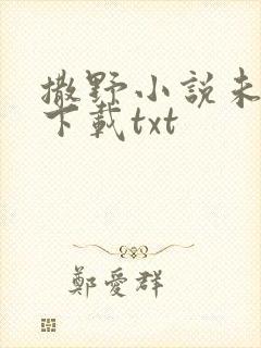 撒野小说未删版下载txt