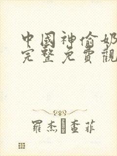 中国神偷奶爸4完整免费观看封面