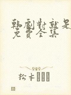 韩剧对就是那样免费全集