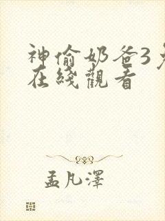 神偷奶爸3免费在线观看封面