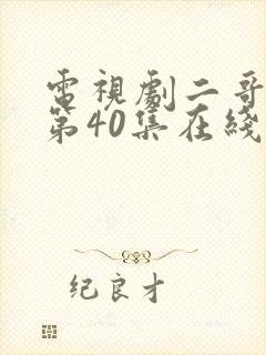 电视剧二哥二嫂第40集在线看