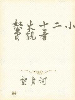 怒火十二小时免费观看