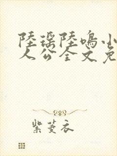 陆瑶陆鸣小说主人公全文免费阅读笔趣阁