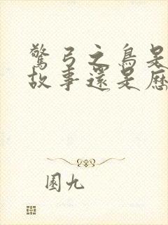 惊弓之鸟是寓言故事还是历史故事