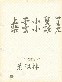 上子小舅了老婆柴云小说免费阅读