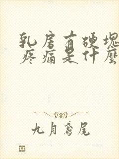 乳房有硬块按压疼痛是什么原因封面