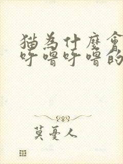 猫为什么会发出呼噜呼噜的声音