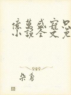 亿万盛宠只为你小说全文免费阅读