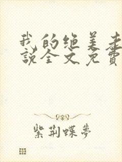 我的绝美老婆小说全文免费阅读