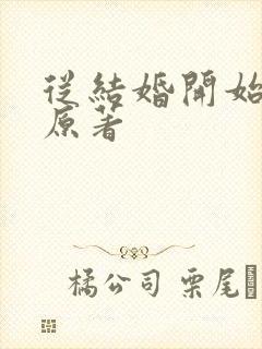 从结婚开始恋爱原著