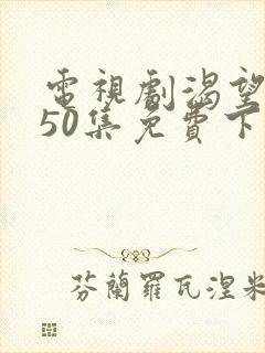 电视剧渴望1—50集免费下载观看