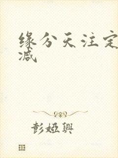 缘分天注定未删减