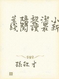 叶阳黎洁小说在线阅读最新章节