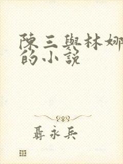 陈三与林娜林丽的小说