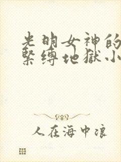 光明女神的无限紧缚地狱小说免费阅读