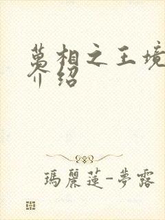 万相之王境界及介绍