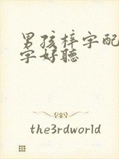 男孩梓字配什么字好听