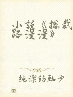 小说《总裁追妻路漫漫》封面