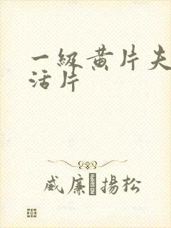 一级黄片夫妻生活片