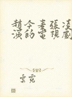 赵今麦张凌赫主演的电视剧