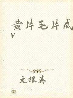 黄片毛片成人av