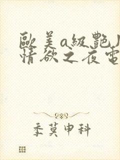 欧美a级艳片w情欲之夜电影