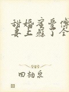 甜婚蜜爱傅少追妻上瘾了全文阅读