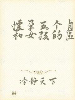 怀孕五个月男孩和女孩的区别