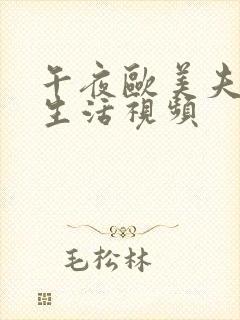 午夜欧美夫妻性生活视频