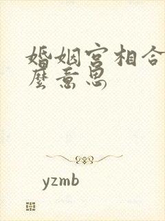 婚姻宫相合是什么意思封面
