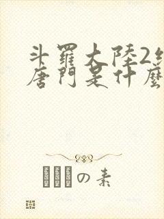 斗罗大陆2绝世唐门是什么