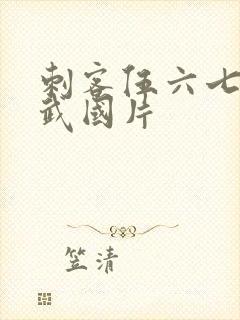 刺客伍六七之玄武国片