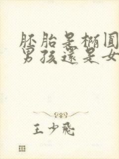 胚胎是椭圆形是男孩还是女孩