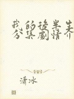 我的后半生剧情分集剧情介绍