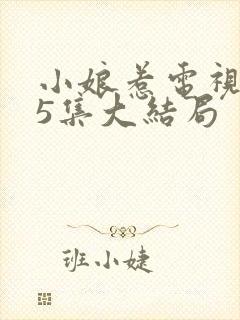 小娘惹电视剧45集大结局