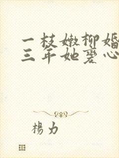 一枝嫩柳婚后第三年她变心了txt