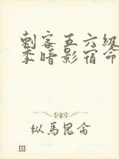 刺客五六级第四季暗影宿命免费观看