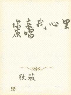你来我心里一趟原唱