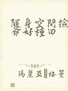 随身空间捡个王爷好种田