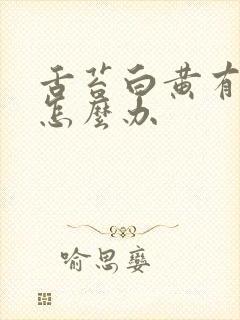 舌苔白黄有齿痕怎么办