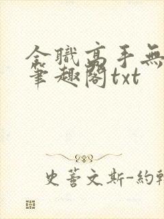 全职高手无弹窗笔趣阁txt
