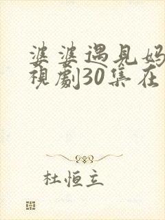 婆婆遇见妈妈电视剧30集在线观看