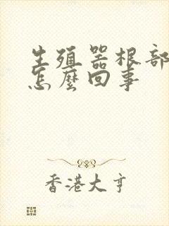 生殖器根部发痒怎么回事封面