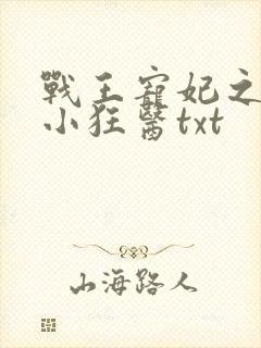 战王宠妃之倾世小狂医txt